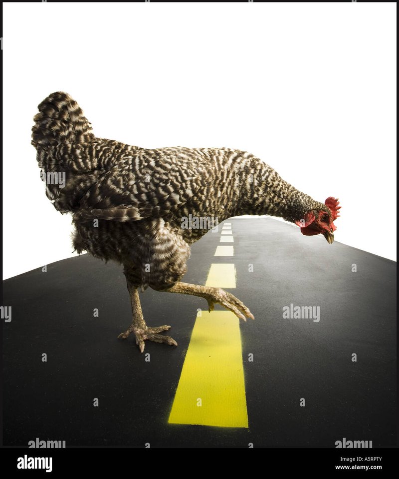 Découvrez jeu chicken road